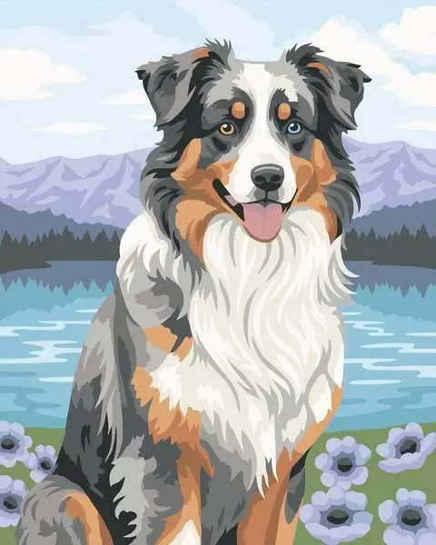 CreArt Adults Trend: Australian Shepherd - Painting By Numbers, 10 x 12