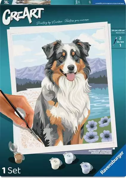 CreArt Adults Trend: Australian Shepherd - Painting By Numbers, 10 x 12
