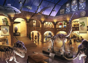 Museum Mysteries - Escape Puzzle, 368 Pieces