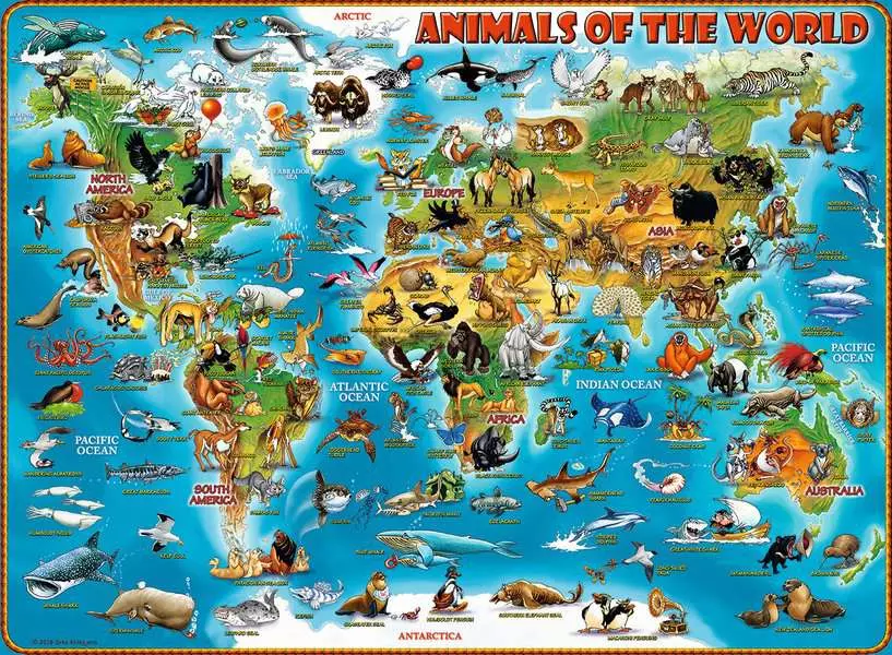 Animals of the World - Children's Puzzle, 300 Pieces (XXL)
