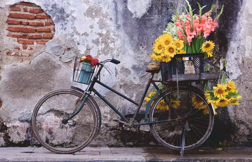 Bicycle - Puzzle Moment, 200 Pieces