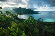 Hawaiian Viewpoint - Standard Adult Puzzle, 5000 Pieces