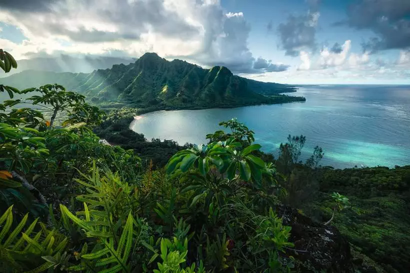 Hawaiian Viewpoint - Standard Adult Puzzle, 5000 Pieces