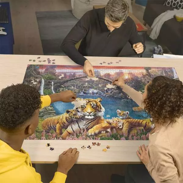 Tigers in Paradise - Standard Adult Puzzle, 3000 Pieces