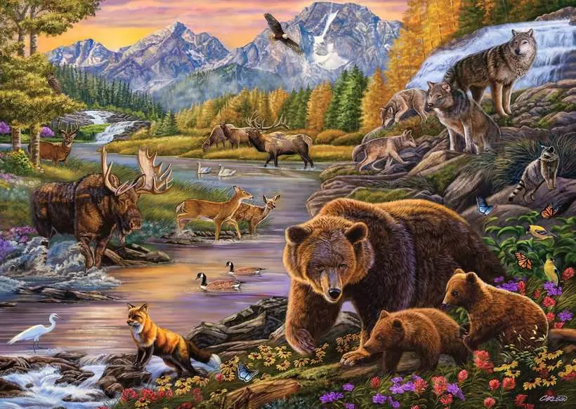 Wilderness - Larger Puzzle Pieces, 500 Pieces (Large)