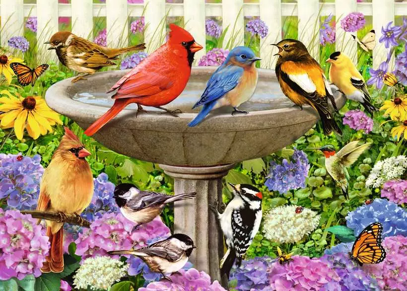 At the Birdbath - Larger Puzzle Pieces, 500 Pieces (Large)