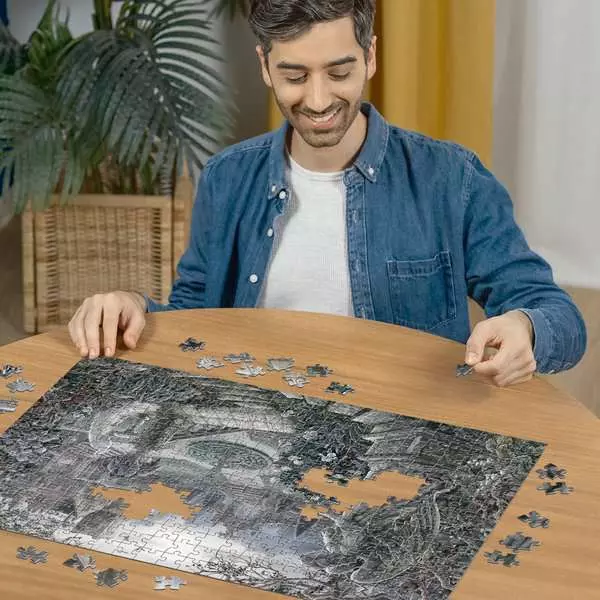 The Garden at Night - Escape Puzzle, 368 Pieces