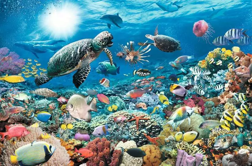 Beneath the Sea - Standard Adult Puzzle, 5000 Pieces