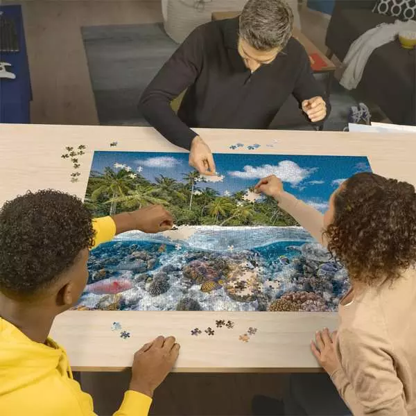 A Dive in the Maldives - Standard Adult Puzzle, 2000 Pieces