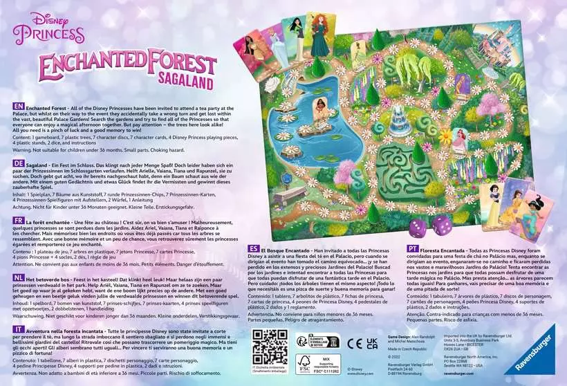 Disney Princess: Enchanted Forest - Memory Game