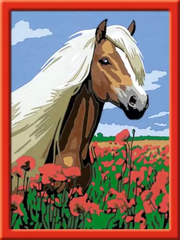CreArt: Haflinger - Painting by Numbers, 7 x 10