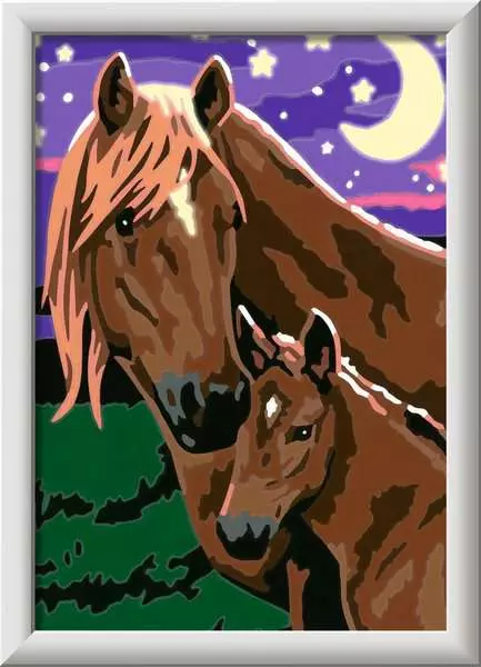 CreArt: Horses at Midnight - Painting by Numbers, 5 x 7