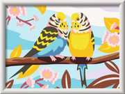 CreArt: Lovely Budgies - Painting by Numbers, 7 x 10