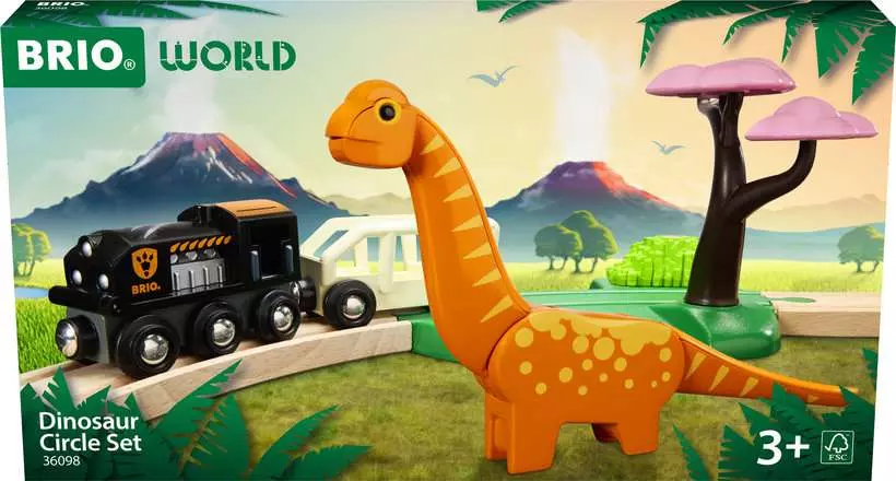 Dinosaur Circle Set