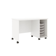 IDS Desk w/Trays, Insipid