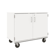 36" Tall - Closed Bin Storage With Doors and 18 (3") Trays w/ Lock, Insipid