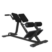 BACK EXTENSION BENCH (HIGH WEAR BLACK)
