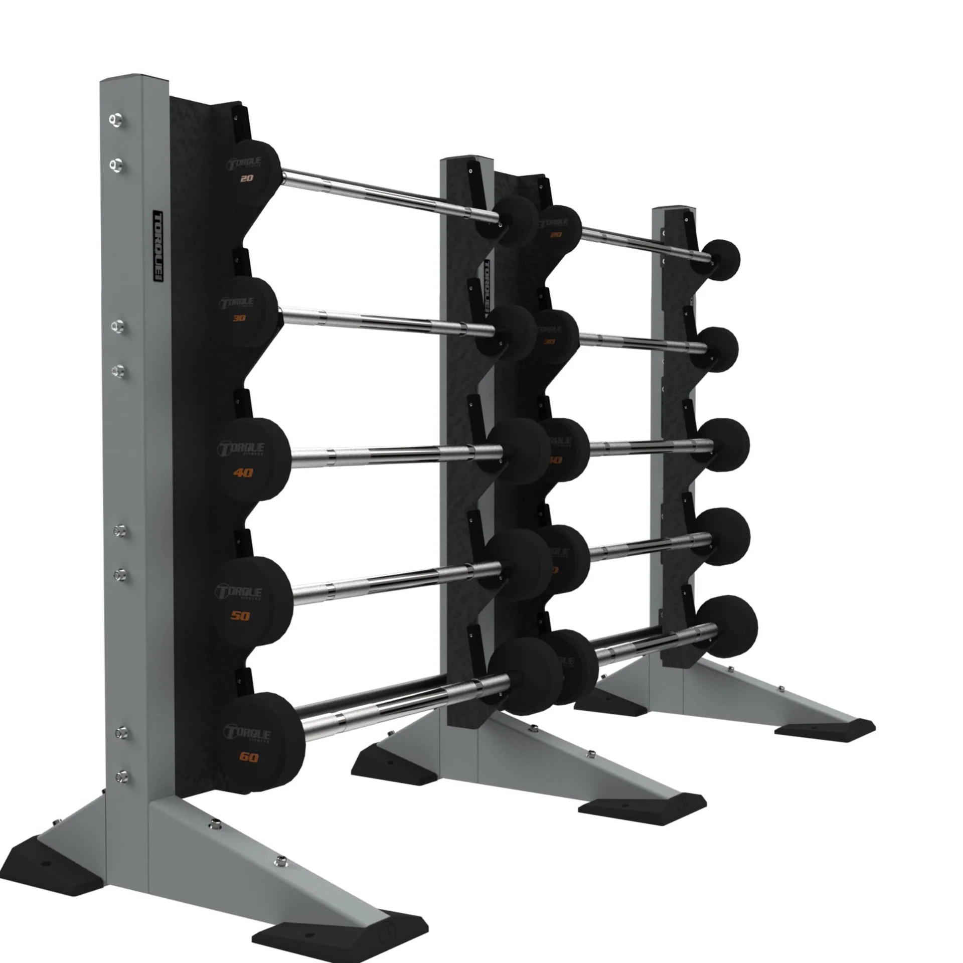 X-CREATE 2-MODULE WALL 10 BARBELL RACK (PLATINUM 2)