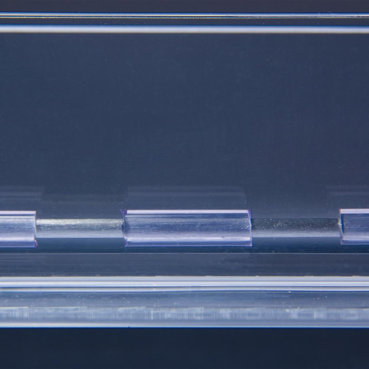 Experiment Set “Conduction of Impulses to Nerve Fibres”