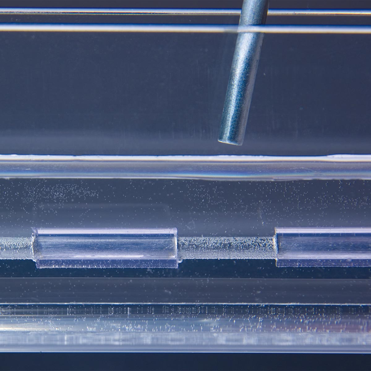 Experiment Set “Conduction of Impulses to Nerve Fibres”