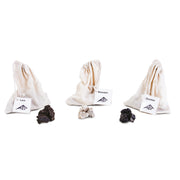 Set of three volcanic rocks
