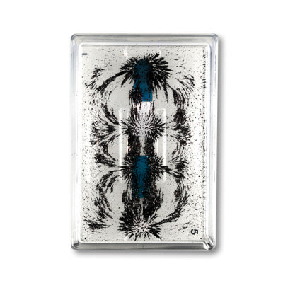 Visualization of Magnetic Field Structures – Demonstration Set