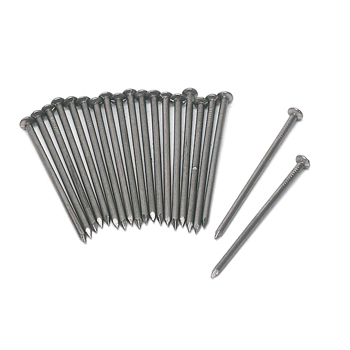Set of 20 Nails for Nail Fusing Experiment
