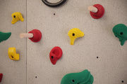Ultimate Traverse Wall Challenge Course - Pegs Only