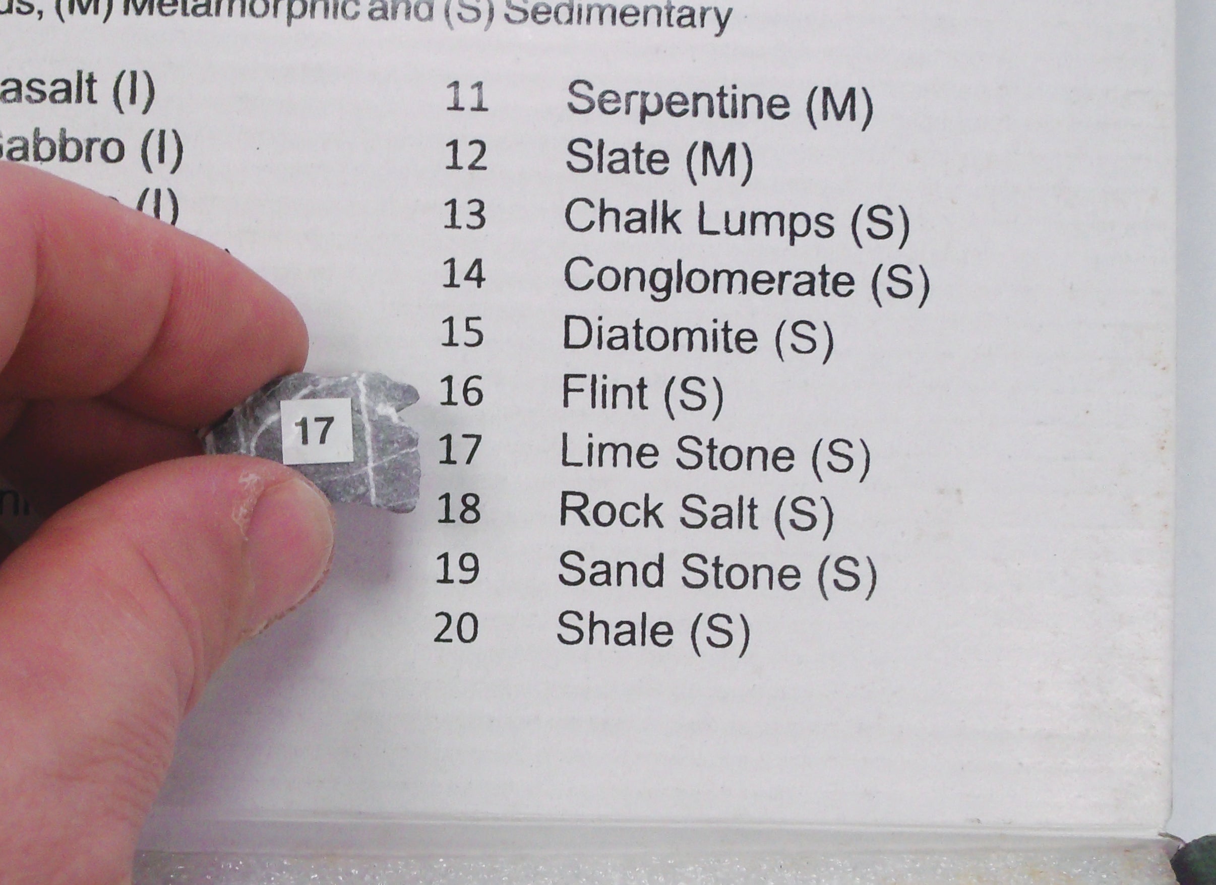 United Scientific® Collection Of 20 Rocks