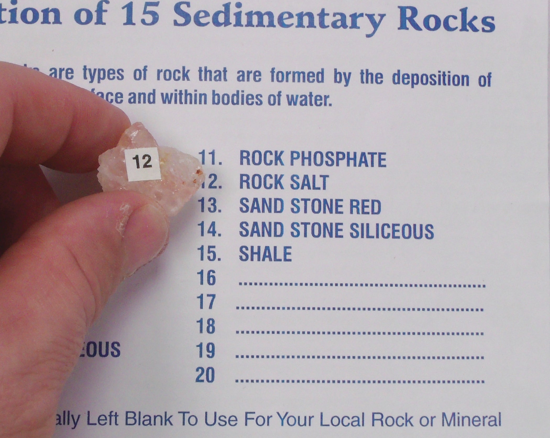 United Scientific® Sedimentary Rock Set 15