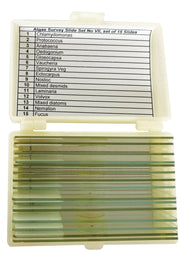 United Scientific® Algae Survey Slide Set Of 15