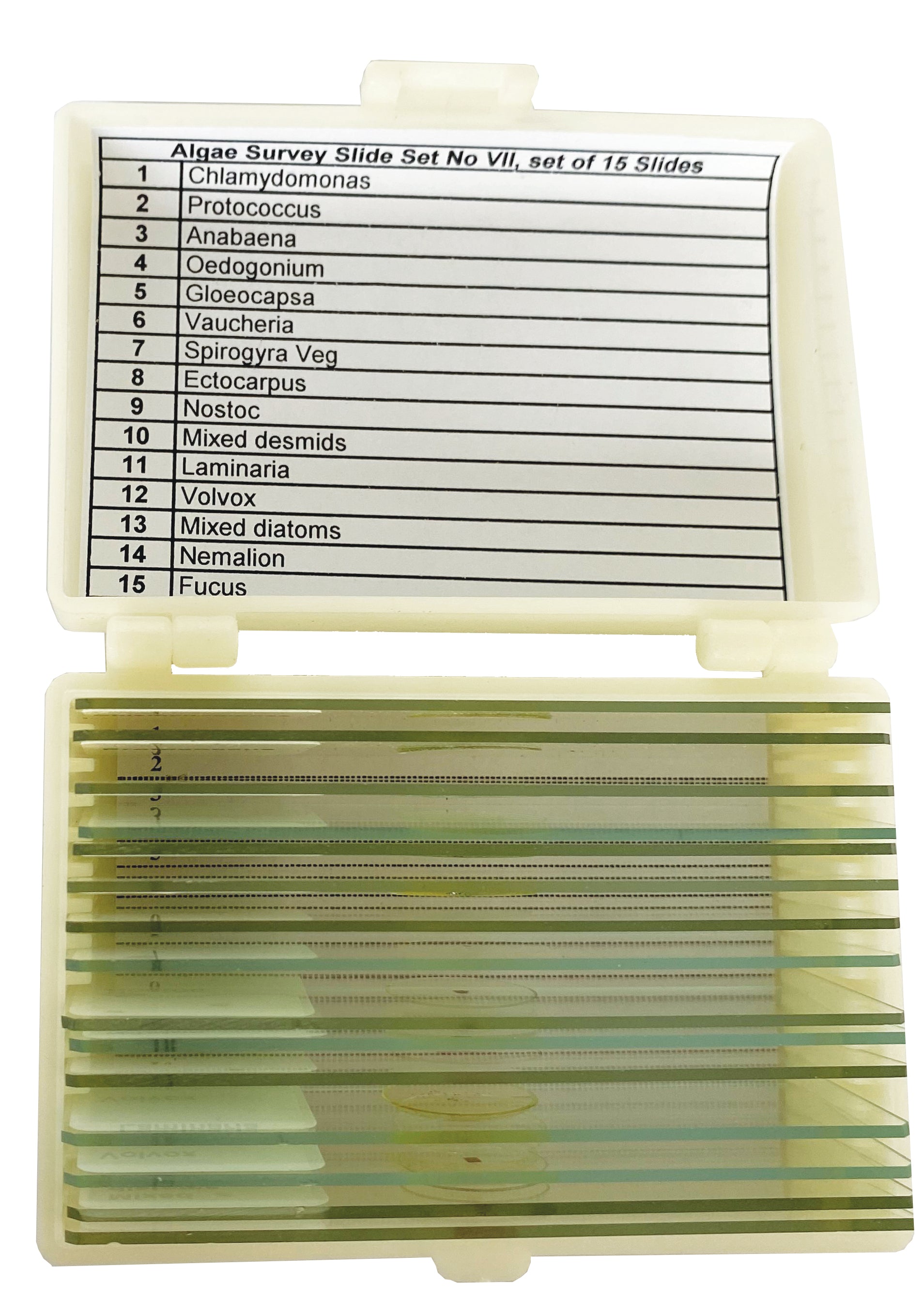 United Scientific® Algae Survey Slide Set Of 15