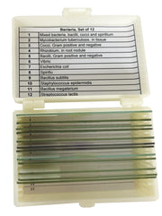 United Scientific® Bacteria Slide Set Of 12