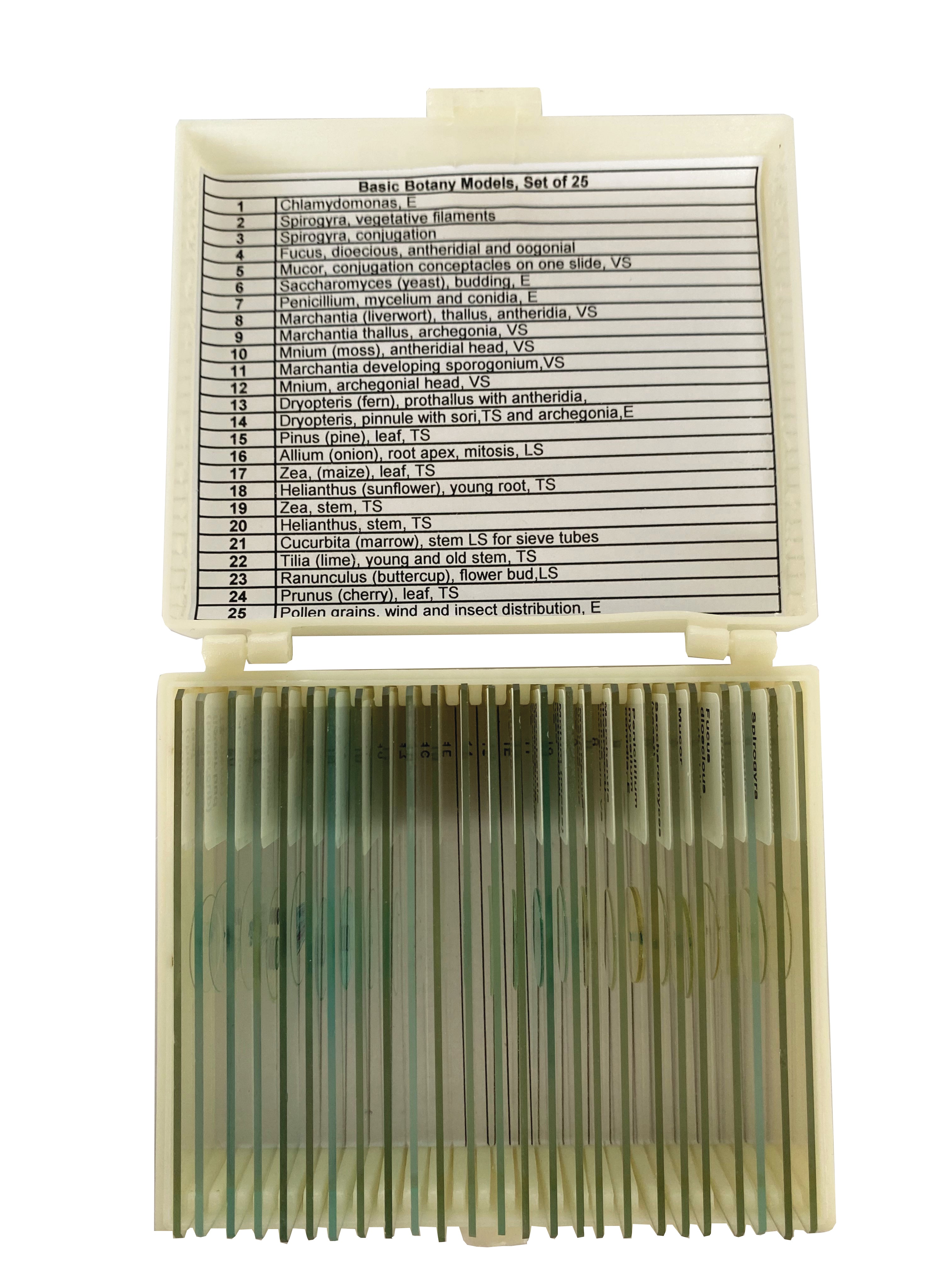 United Scientific® Basic Botany Models Slide Set Of 25