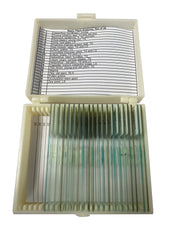United Scientific® Basic Plant Anatomy Slide Set Of 20