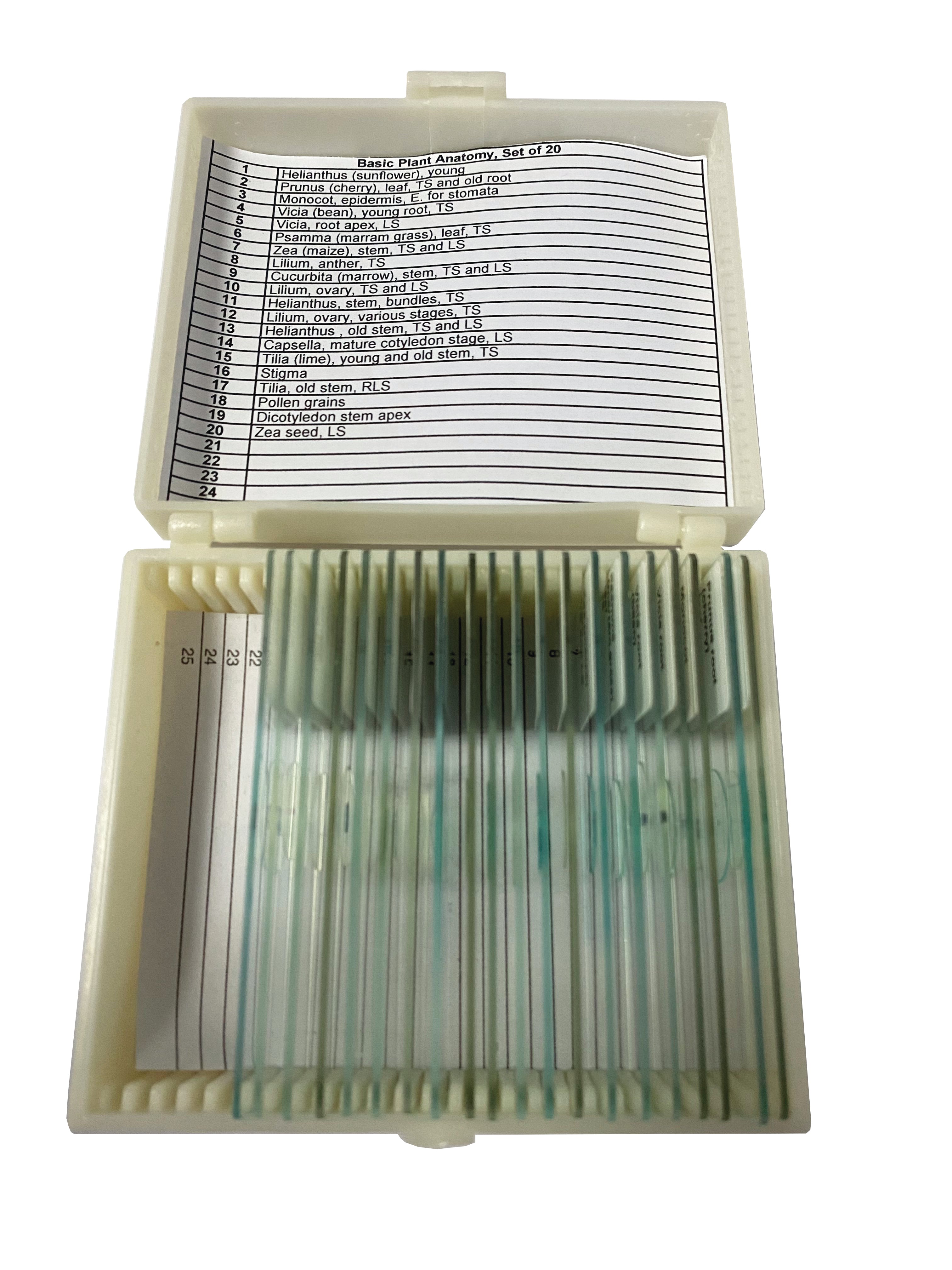 United Scientific® Basic Plant Anatomy Slide Set Of 20