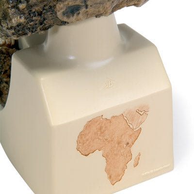Replica Australopithecus Boisei Skull (KNM-ER 406 + Omo L7A-125)