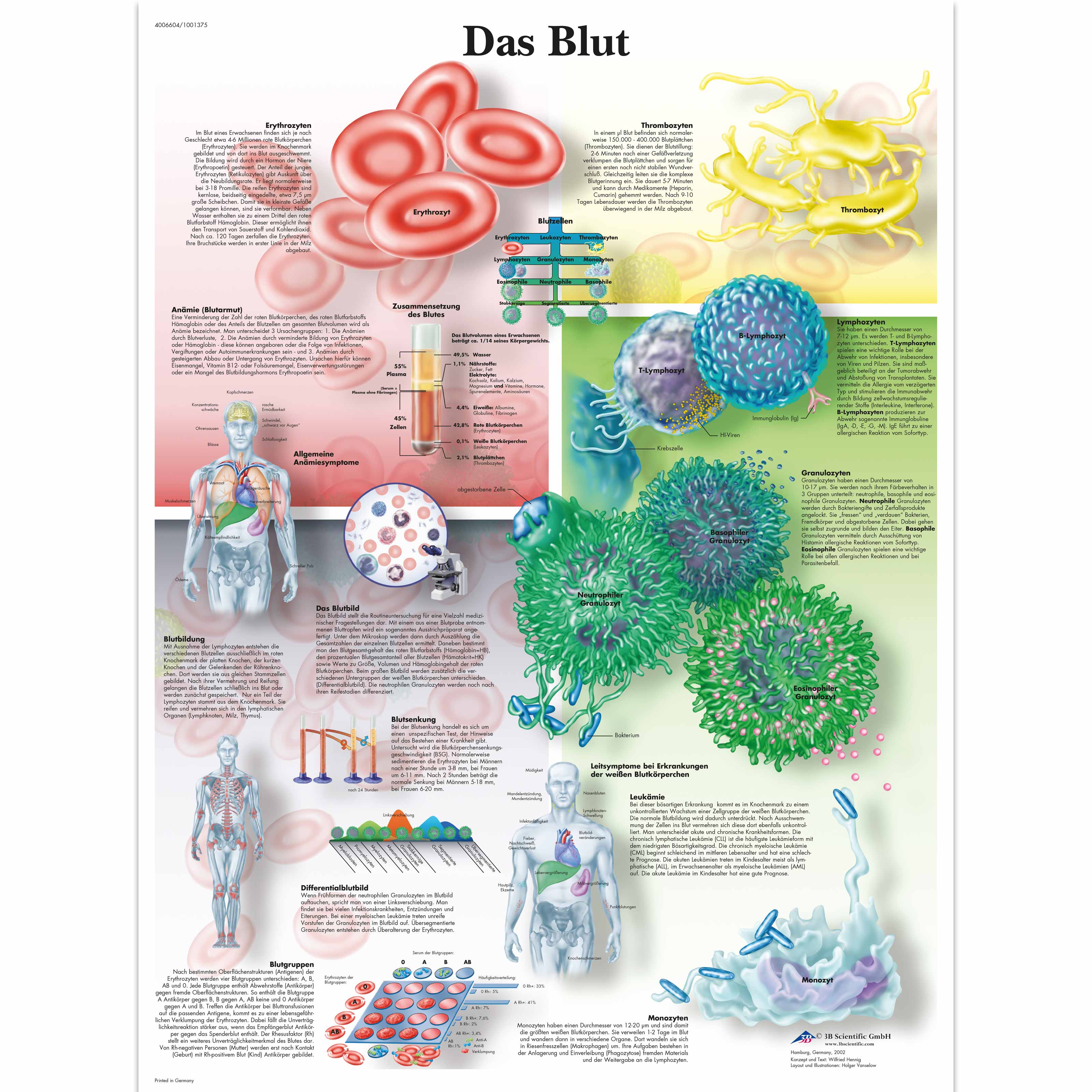 Das Blut