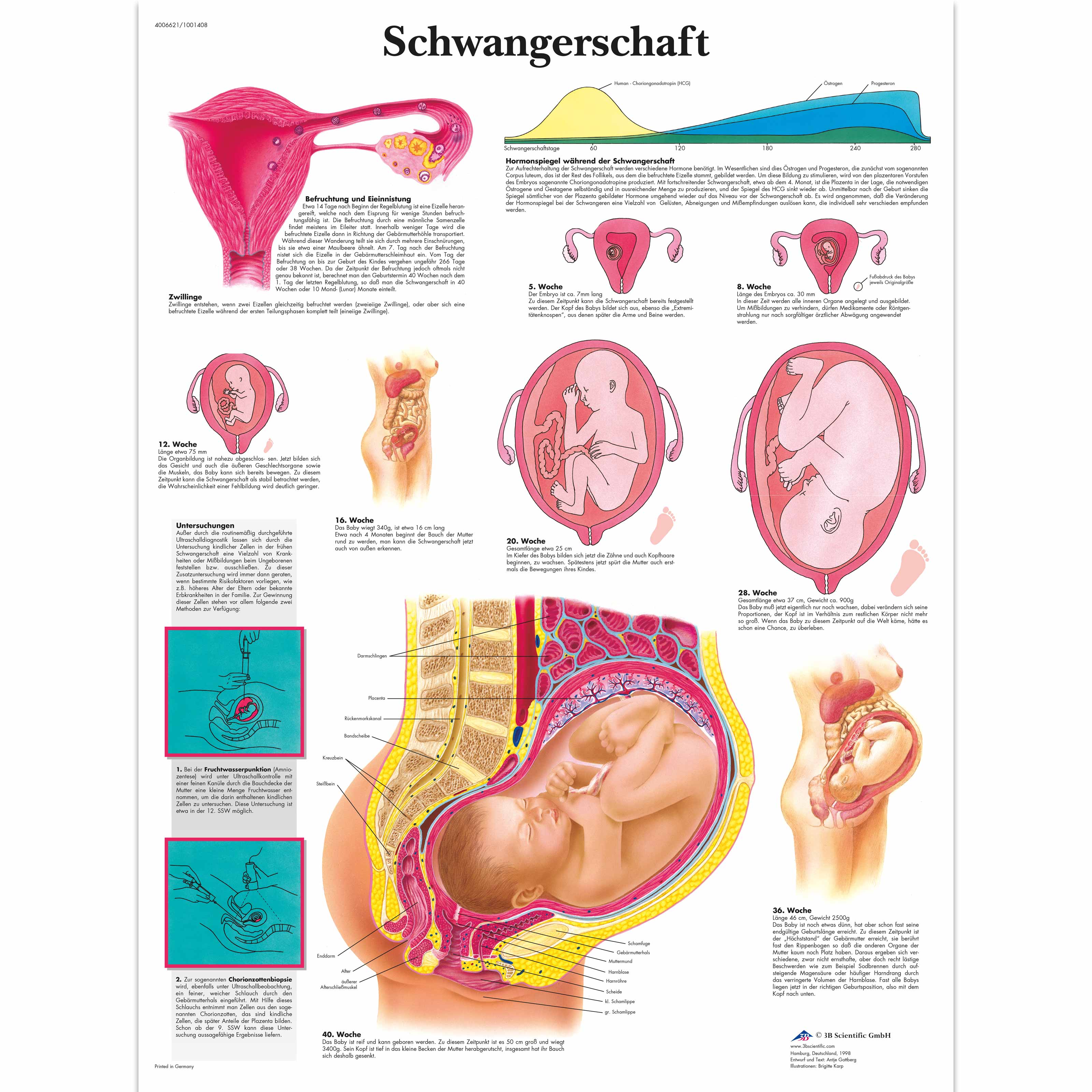 Schwangerschaft