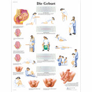 Die Geburt