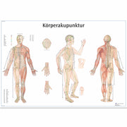 Körperakupunktur