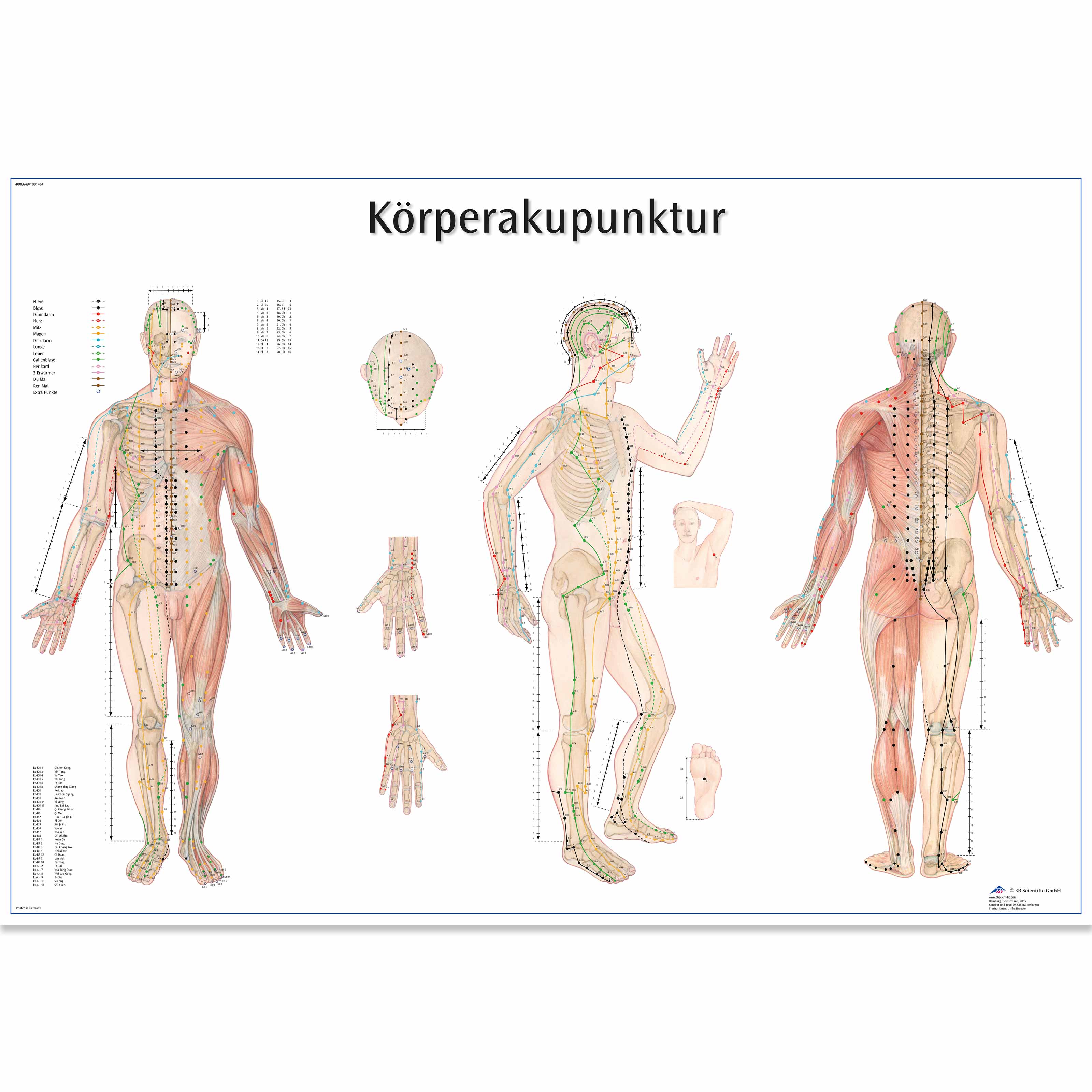 Körperakupunktur