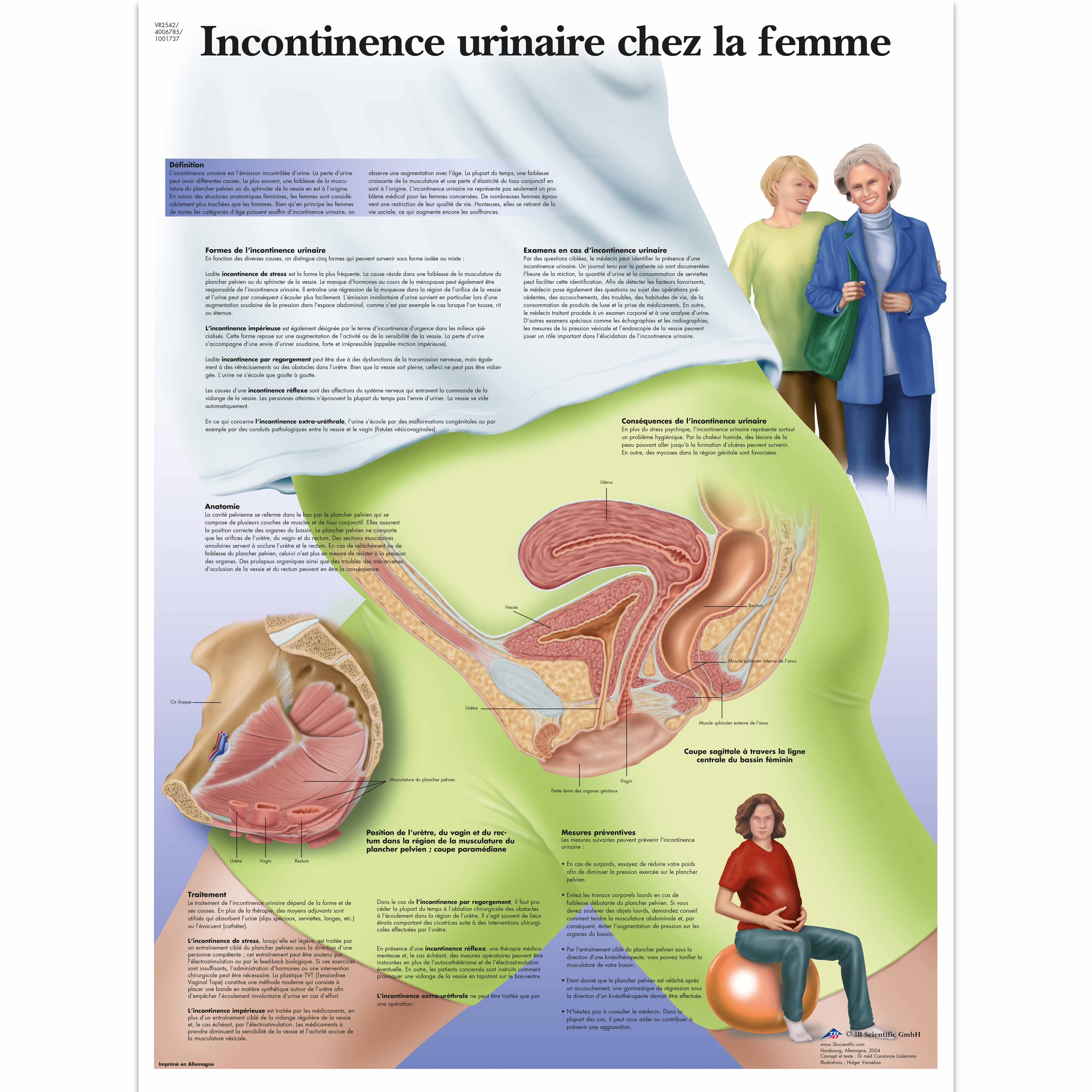 Incontinence urinaire Femme