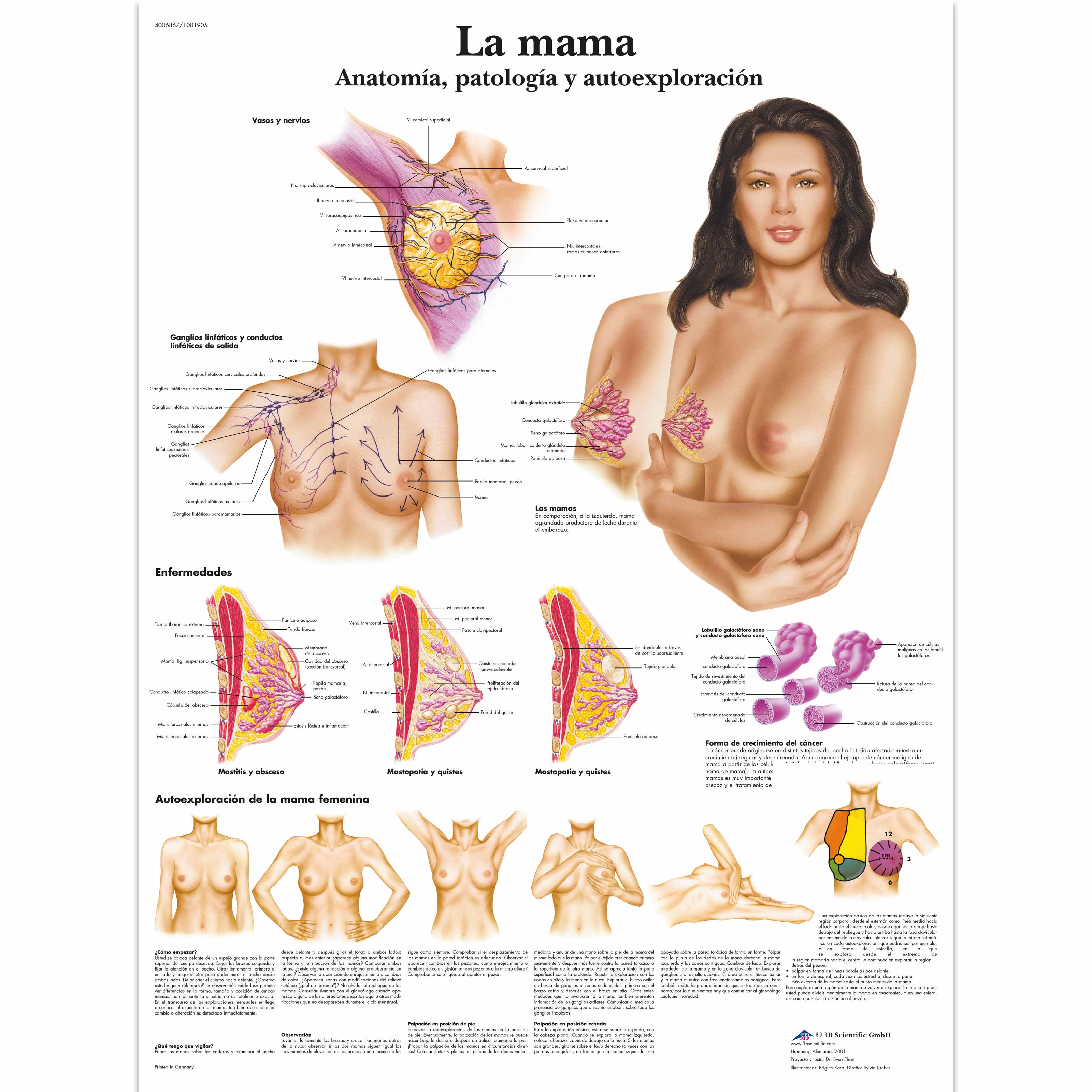 Lactancia Materna - Anatomía, patología y autoexploración
