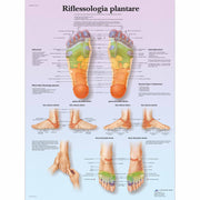 Riflessologia plantare