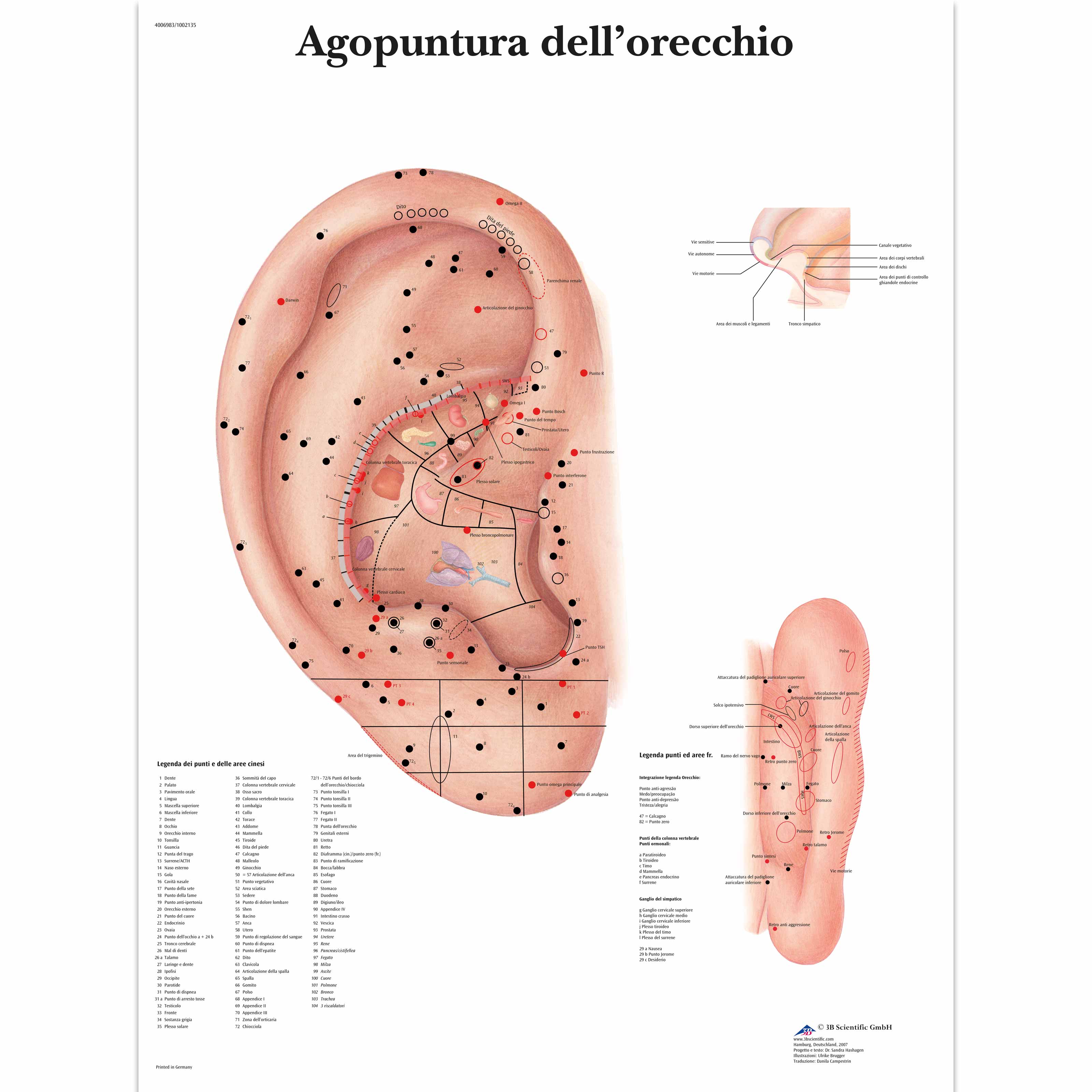 Agopuntura dell'orecchio