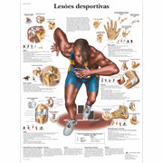 Lesões des portivas