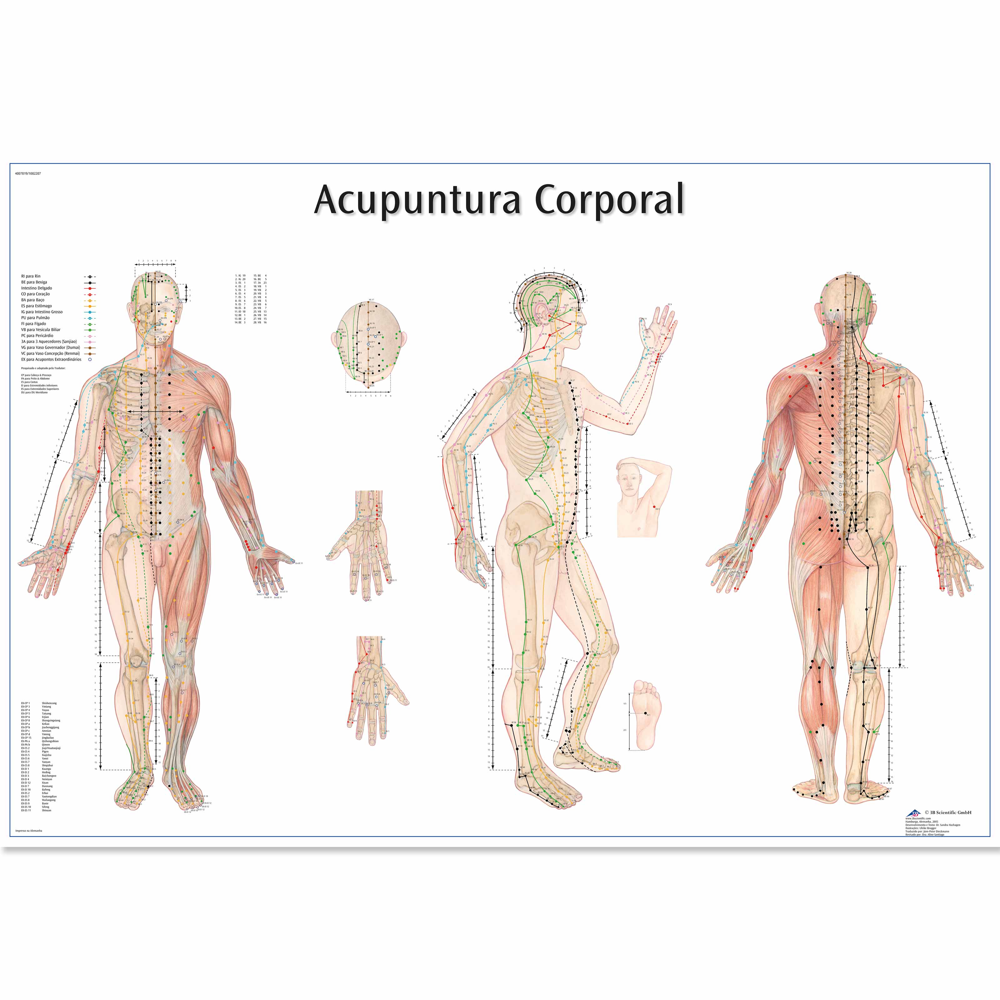 Acupuntura Corporal