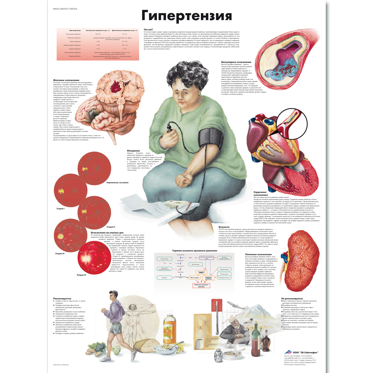 Hypertension Chart