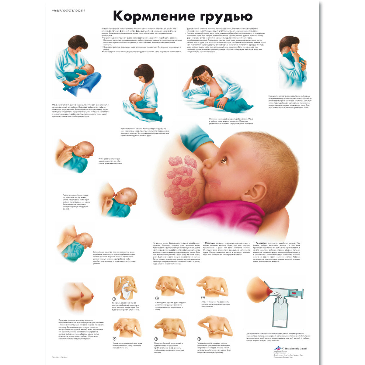 Breastfeeding Chart